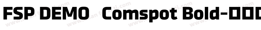 FSP DEMO   Comspot Bold字体转换